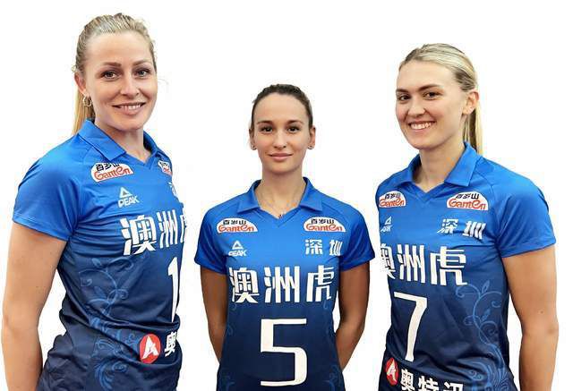 金瓶艳史记