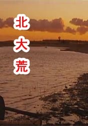一级做受大片免费视频
