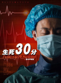 活泼的旅社黑凤梨