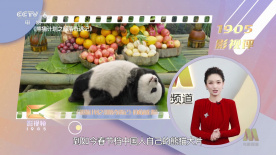 91网在线观看